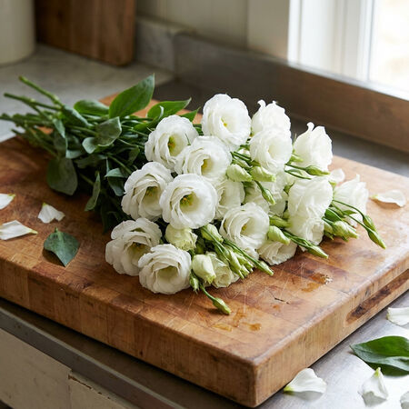 Rosita 2 White, (F1) Lisianthus Seeds - Packet image number null